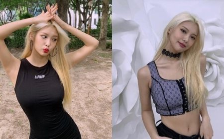 MOMOLAND Ahin Vücut Ölçüleri 2025 (Boy-Kilo-Ayak Numarası v.b)