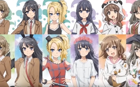 Bunny Girl Senpai Benzeri Animeler! 7 Harika Anime Önerisi!